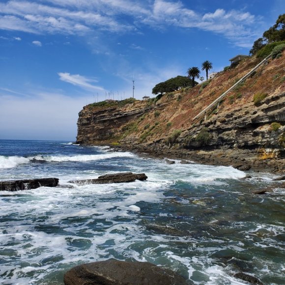 Meet your Posher; "Not for Sale"...but also called Jason, by some. - Picture 3 of 10